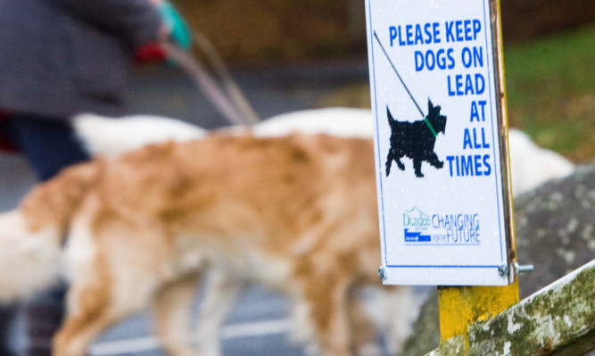 The council says the plans would be designed to clamp down on dog fouling and attacks.