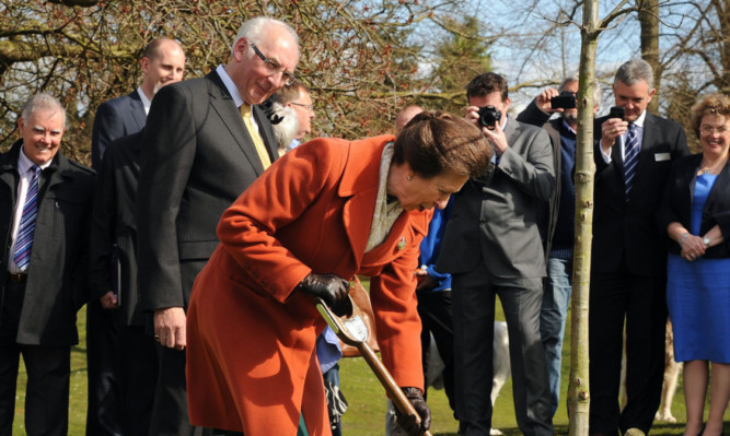 The princess plants a tree in Pittencrieff Park to mark the trusts centenary.