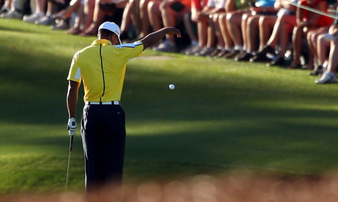 Tiger Woods drops his ball after he hits it into the water on the 15th hole during the second round of the 2013 Masters.