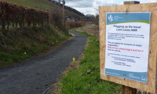 A sign was posted to explain the presence of the yellow and black flags and to appeal to irresponsible dog-walkers to mend their ways.
