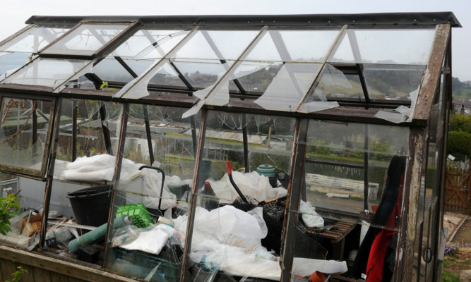 Allotments have been the target of regular vandalism attacks in recent years.