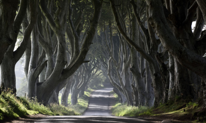 Scotlands winner may go up against the Dark Hedges for the European title.