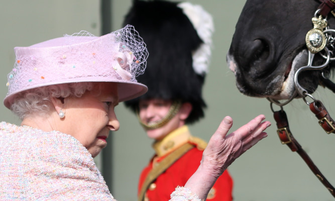 To The Tower  The Queen fails to see the funny side after a drooling Talavera leaves its mark.