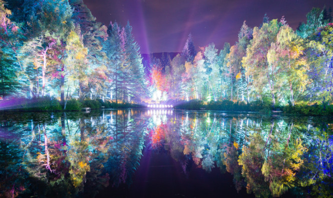 The Enchanted Forest has been hailed as going from strength to strength by VisitScotland.