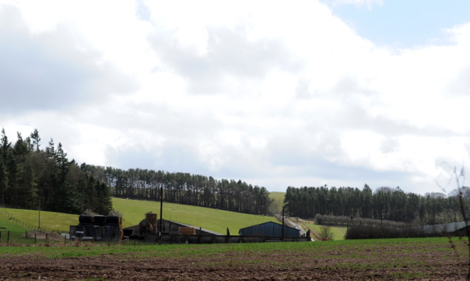 The site of the proposed Bandirran windfarm beyond the trees near Balbeggie.