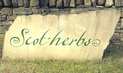 Scotherbs Ltd was bought by Langmead Farms last year.