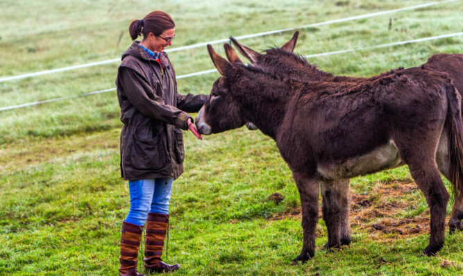 Lindsey Knox with donkeys Floppy and Ernie.