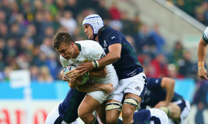Blair Cowan, making a tackle against South Africa, has been called into the Scotland team to face the Wallabies.