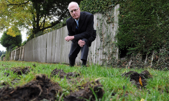 Councillor Ross Vettraino beside some of the damage that has been caused by horse riders going through Thornton Memorial Park.