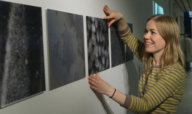 Dr Morag Martin, of the School of Life Sciences, puts the finishing touches to a display of 3D images.