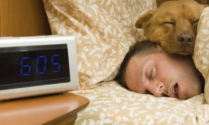 Man and his dog comfortably sleeping