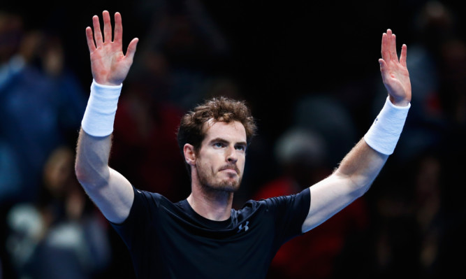 Andy Murray celebrates victory in his men's singles match against David Ferrer.