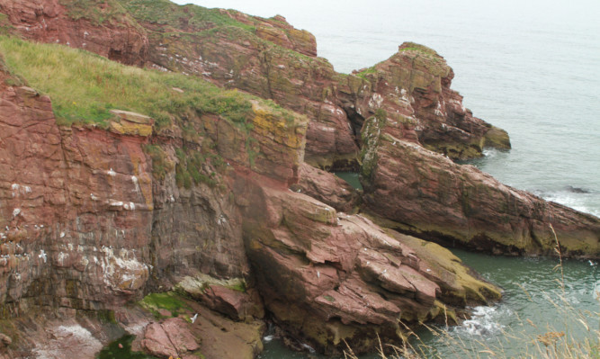 The discovery was made at Arbroath Cliffs near Victoria Park.