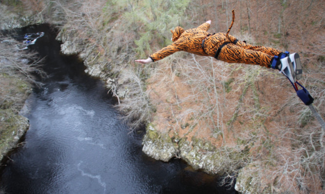 Fly of the Tiger: Colin Mackin takes the plunge.