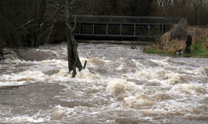 The Dighty at Monifieth has turned into a raging torrent.