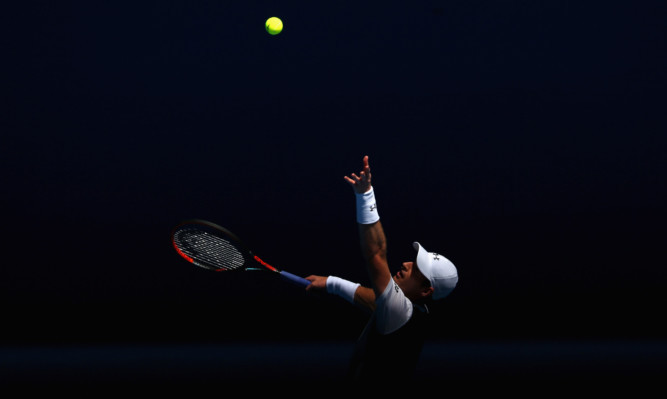 Andy Murray in first-round action at the Australian Open.