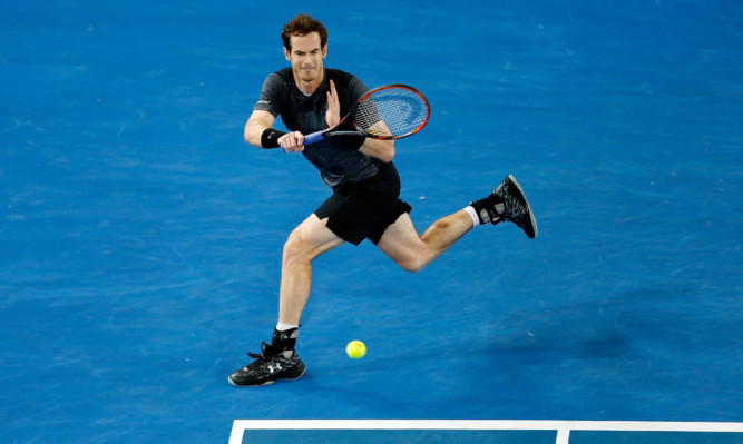 MELBOURNE, AUSTRALIA - JANUARY 23:  Andy Murray of Great Britain plays a forehand during his third round match against Joao Sousa of Portugal during day six of the 2016 Australian Open at Melbourne Park on January 23, 2016 in Melbourne, Australia.  (Photo by Zak Kaczmarek/Getty Images)