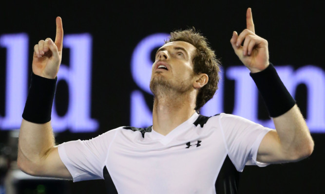 Andy Murray celebrates winning his semi-final.