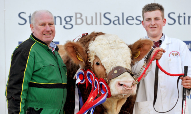Harold Stubbs and Alan Burleigh with their champion bull Derrycallaghan Fireworks.