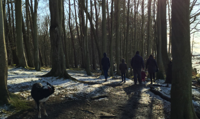 Dog walkers in Backmuir Woods are being warned to be vigilant.