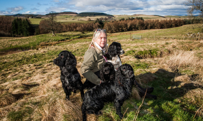 Carol with some of her dogs.