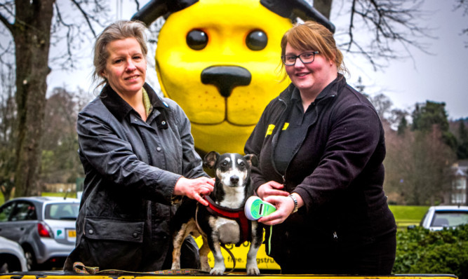 Chief veterinary officer Sheila Voas, left, and campaign veterinary nurse Debbie Caithness at Bells Sports Centre in Perth where 11-year-old Sox, from Ceres in Fife, was among those being chipped.