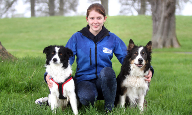 Ashleigh with her dog, Key, left, and her trainers dog, Tig.