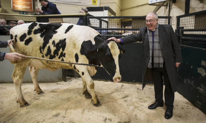 Moderator of the General Assembly the Rev Dr Angus Morrison with a Holstein Friesian cow
.
