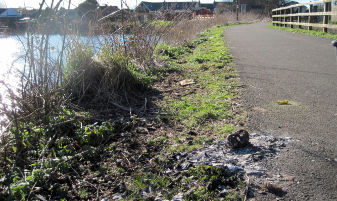 The burned remains of a snake were discovered in Falkirk.