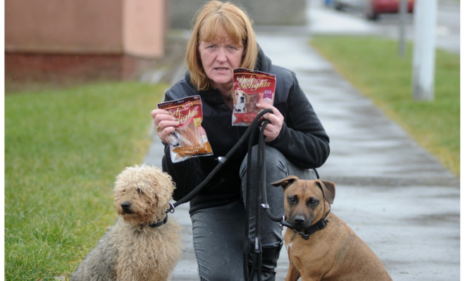 Glenrothes woman Dawn Adamson, with dogs Brillo and Bonnie.