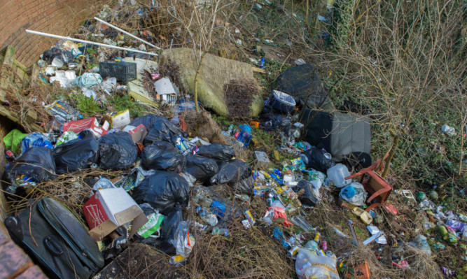 Fly-tipping in Wellsley Road has caused a rat infestation at nearby homes and businesses.