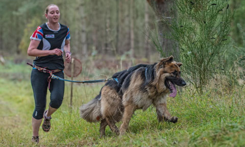 Chantel running with Bentley.