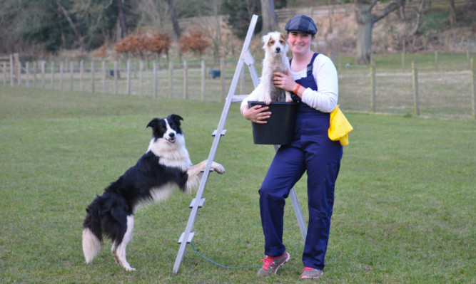 Hannah Paterson brushes up on her George Formby routine with dogs Pixel and Rumour.