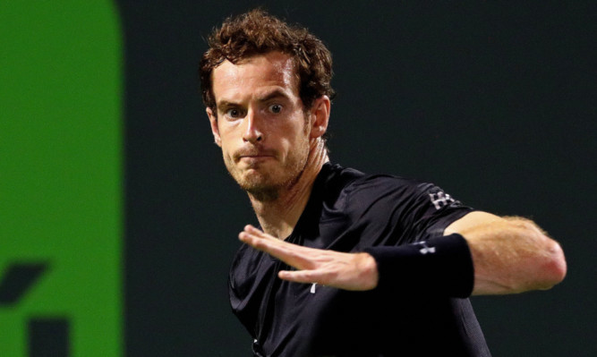 Andy Murray.