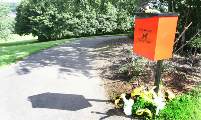 One of the full dog waste bins in the Menzieshill area.