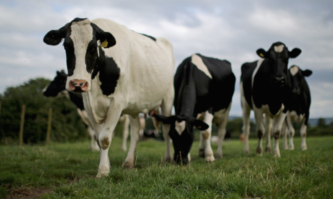Dairy farmers in the north east face higher processing costs.
