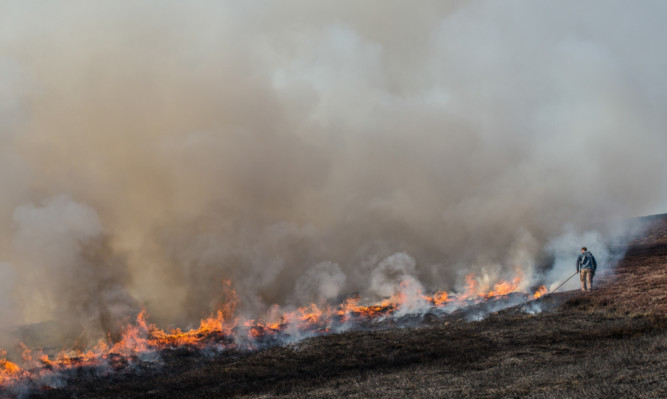 A controlled burn of moorland heather which gamekeepers say is vital for land management.