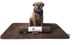 Skipper with the doggy doormat he inspired.