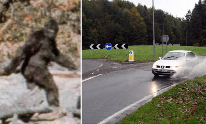 Mark Luke said he spotted a strange creature near to where a previous sighting was reported at the Five Roads Roundabout in Fife.