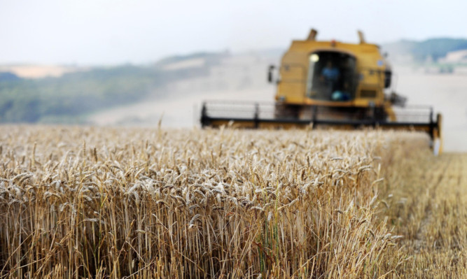 Chairman David Yiend said the relatively high value of sterling made grain exports difficult, resulting in a large carry through of wheat stocks.