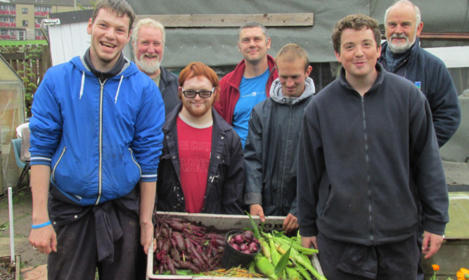 From left: Ricky, John, Robert, John, Kevin, Ryan and Ron with their produce on the Growing Up project, which is run by Barnardos.
