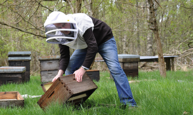 Mark Noonan reconstructing one of the hives that was knocked over.