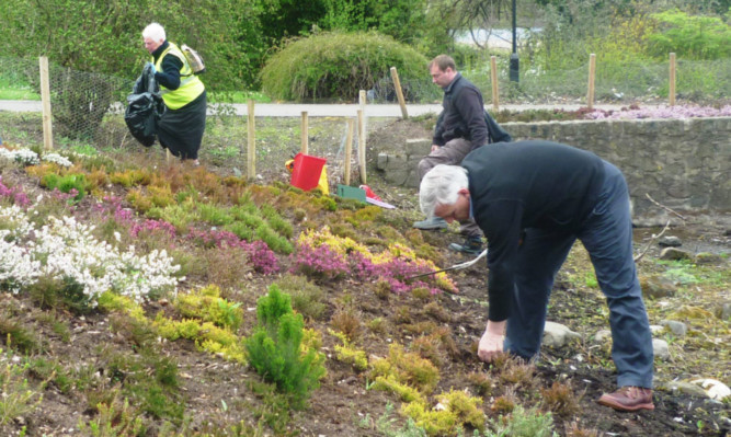 Volunteers hard at work in Riverside Park. It is hoped the garden will eventually host 950 species of heather.