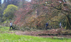 Judy Murray's image of workers clearing trees away at Cromlix House Hotel.