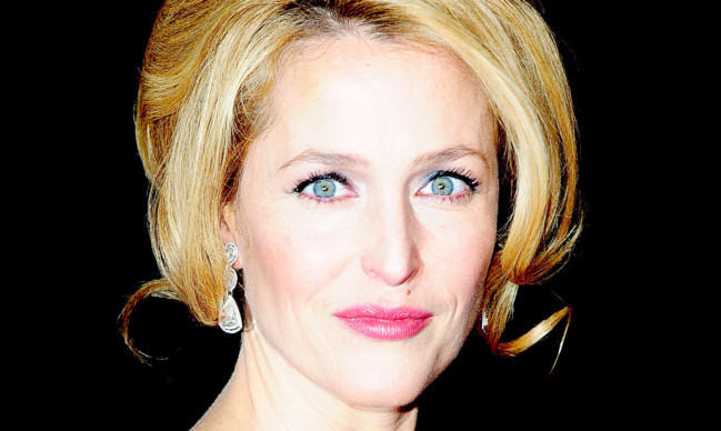 Former X-Files star Gillian Anderson appears in The Fall.