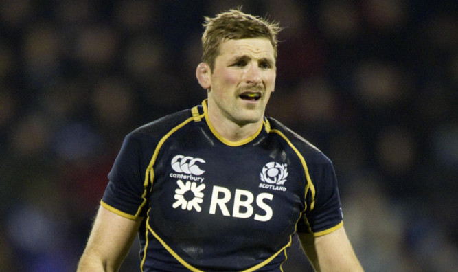 John Barclay in action for Scotland.