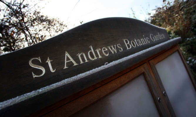 Kris Miller, Courier, 16/01/13. Picture today shows St Andrews Botanic Gardens for story about their future.