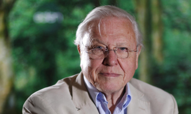 Sir David Attenborough has paid tribute to Doug Allan in a BBC documentary.