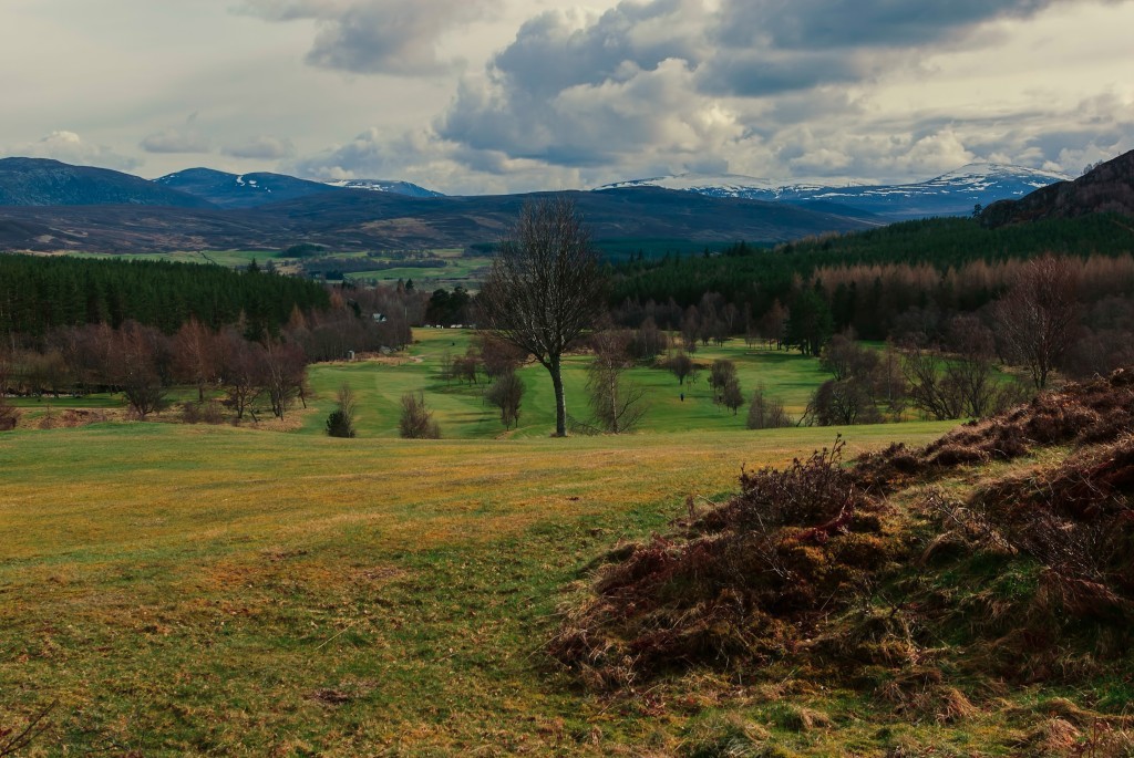 A Highland paradise.