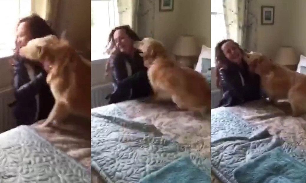 Snaps from the video showing Sandy going wild with delight when he finds Maria.